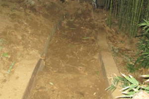 Hauling Yard Waste Bamboo Removal - Hauling
