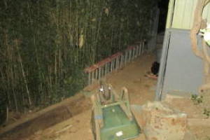 Hauling Yard Waste Bamboo Removal - Hauling