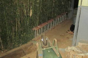 Hauling Yard Waste Bamboo Removal - Hauling