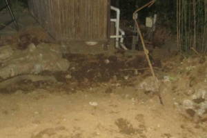 Hauling Yard Waste Bamboo Removal - Hauling