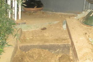 Hauling Yard Waste Bamboo Removal - Hauling