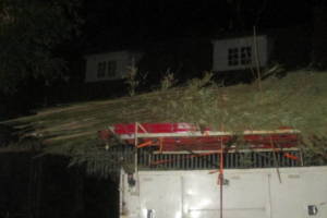Hauling Yard Waste Bamboo Removal - Hauling