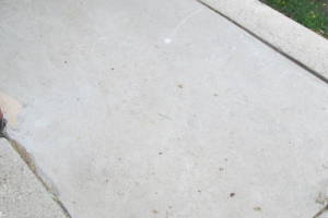 Hauling Yard Waste Bamboo Removal - Hauling