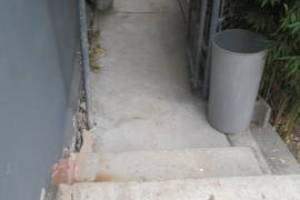 Hauling Yard Waste Bamboo Removal - Hauling