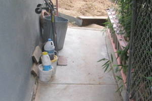 Hauling Yard Waste Bamboo Removal - Hauling