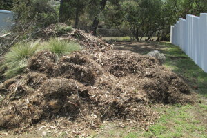 Hauling Yard Waste Debris Cleanup - Hauling
