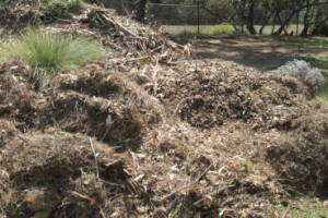 Hauling Yard Waste Debris Cleanup - Hauling