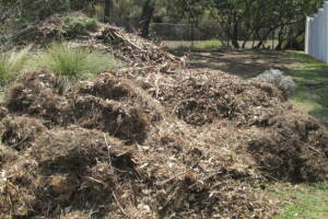 Hauling Yard Waste Debris Cleanup - Hauling