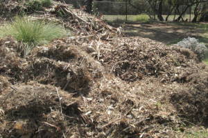 Hauling Yard Waste Debris Cleanup - Hauling