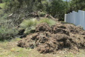 Hauling Yard Waste Debris Cleanup - Hauling