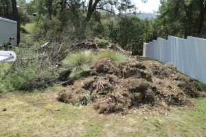 Hauling Yard Waste Debris Cleanup - Hauling