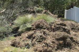 Hauling Yard Waste Debris Cleanup - Hauling