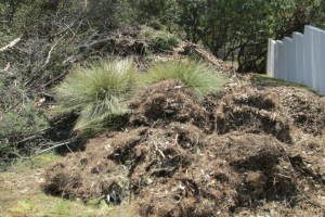 Hauling Yard Waste Debris Cleanup - Hauling