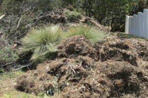 Hauling Yard Waste Debris Cleanup - Hauling