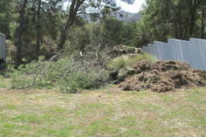 Hauling Yard Waste Debris Cleanup - Hauling