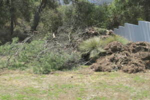 Hauling Yard Waste Debris Cleanup - Hauling