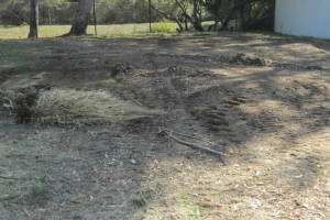 Hauling Yard Waste Debris Cleanup - Hauling