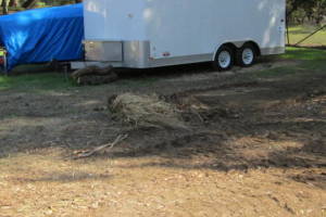 Hauling Yard Waste Debris Cleanup - Hauling