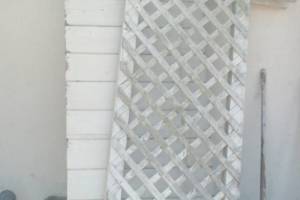 Hauling Yard Waste Overgrown Shrubs - Hauling