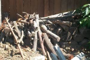 Hauling Yard Waste Overgrown Shrubs - Hauling