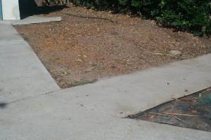 Hauling Yard Waste Overgrown Shrubs - Hauling