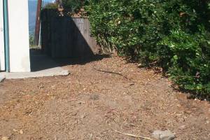 Hauling Yard Waste Overgrown Shrubs - Hauling