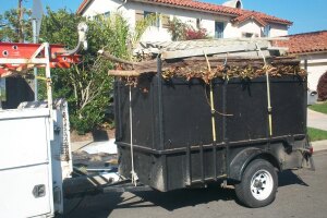 Hauling Yard Waste Overgrown Shrubs - Hauling