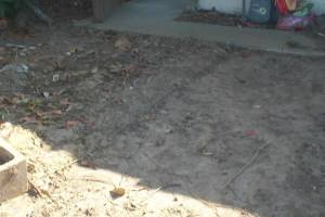 Hauling Yard Waste Overgrown Shrubs - Hauling