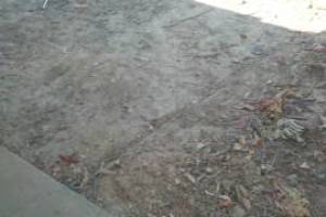 Hauling Yard Waste Overgrown Shrubs - Hauling