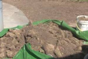 Hauling Yard Waste Sod Removal - Hauling