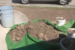 Hauling Yard Waste Sod Removal - Hauling