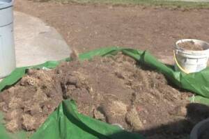 Hauling Yard Waste Sod Removal - Hauling