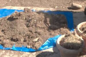 Hauling Yard Waste Sod Removal - Hauling