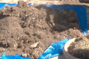 Hauling Yard Waste Sod Removal - Hauling