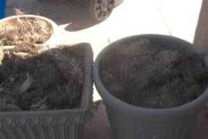 Hauling Yard Waste Sod Removal - Hauling