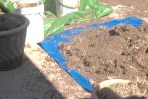 Hauling Yard Waste Sod Removal - Hauling