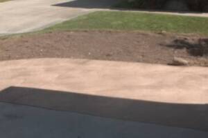 Hauling Yard Waste Sod Removal - Hauling