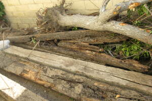 Hauling Yard Waste Wood Logs - Hauling