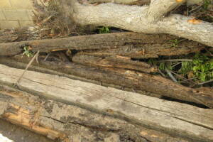 Hauling Yard Waste Wood Logs - Hauling