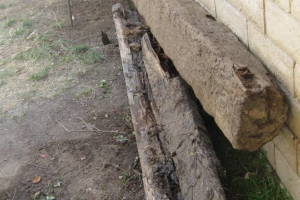 Hauling Yard Waste Wood Logs - Hauling