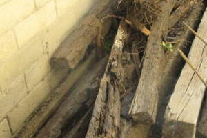 Hauling Yard Waste Wood Logs - Hauling