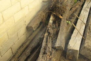 Hauling Yard Waste Wood Logs - Hauling