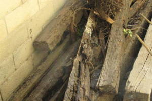 Hauling Yard Waste Wood Logs - Hauling