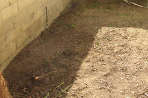 Hauling Yard Waste Wood Logs - Hauling