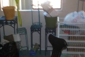 Hauling Moving Cleanups Apartment - Hauling