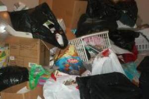 Hauling Moving Cleanups Apartment - Hauling
