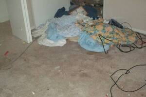 Hauling Moving Cleanups Apartment - Hauling