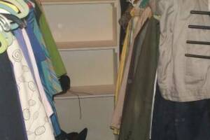 Hauling Moving Cleanups Apartment - Hauling