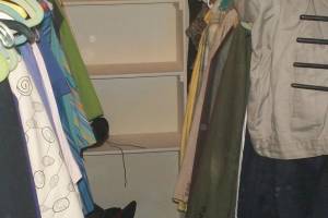 Hauling Moving Cleanups Apartment - Hauling