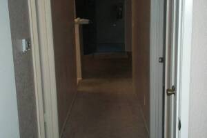 Hauling Moving Cleanups Apartment - Hauling